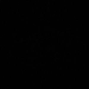 Meet your Posher, Manuel